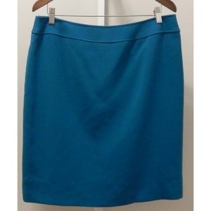 Tahari Skirt